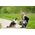 Τσάντα κάμερας Cullmann Cullmann RIO Fit 120 llama για Instax Mini 12 13336323 4007134023970