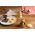 Marcato Marcato Ausstecher TONDO 65mm NOCE CANALETTO 13340145 8000011008288