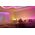 Pasek LED RGBIC Yeelight Led Basic Strip Lights 12m