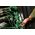 APC NetShelter Rack PDU Advanced Metered 11.5kW 3PH 415V 20A 520P6 42 Outlet