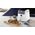Ninja AF180EU Foodi Max Pro Air Fryer  white