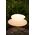 Επιτοίχιο φωτιστικό 8 εποχών 8 εποχών Shining Stone 13671836 4033802701062