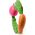 Oli&Carol Oli&Carol Veggie Teething Ring, 0+