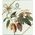 Chocolate gift set Laurence Choco Master Pieces, 3 x 80 g