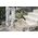 K 7 Premium Smart Control Flex Home *EU