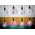 Paulmann Źródło LED G95 Fantastic Colors 5W 470lm E27 Ściemnialne 2700K 230V