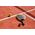Μαστίγιο Dunlop Padel Dunlop AERO-STAR LITE 16K Carbon 355g, Teresa Navarro 13858351 45566304247