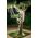 New Garden New Garden NEO GARLAND 13671659 8435578512136