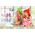 Beco κοριτσίστικο μαγιό BECO UV SEALIFE 0804 48 110cm 13936152 4013368450314