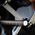DEWALT BAND SAW BLADE. 690mm 18TPI FOR DCS377 3-PACK