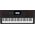 Casio CASIO CT-X3000 - KEYBOARD