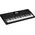 Casio CASIO CT-X3000 - KEYBOARD
