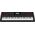 Casio CASIO CT-X3000 - KEYBOARD