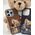 ZUCK BEAR futerał DARREN kompatybilny z MagSafe 16 champaign gold