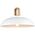 Lampa sufitowa Italux Danito MDM3153/1L W