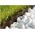 Cellfast Obrzeże ogrodowe 25cm x 9m Cellfast grafitowe