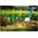 Cellfast Obrzeże ogrodowe 25cm x 9m Cellfast grafitowe