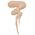 Makeup Revolution Makeup Revolution, REVOLUTION PRO, Vegan, Liquid Concealer, C 7, 8,5 ml για γυναίκες 13423937 5057566025720