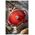 le creuset Le Creuset Signature Oval Roaster Cherry Red 33 cm
