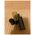 MAC MAC, Studio Fix, Foundation Stick, NC37, 9 g Για γυναίκες 13424400 773602555963