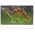 Adar Układanka Puzzle drewniane Dinozaury 543706 mix cena za 1 szt