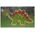 Adar Układanka Puzzle drewniane Dinozaury 543706 mix cena za 1 szt