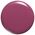 Makeup Revolution Makeup Revolution, Express, Βερνίκι νυχιών, Damson Purple, 10 ml Για γυναίκες 13076576 5057566152662