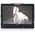 Feelworld Feelworld Monitor FW1018 V1 10.1" monitor
