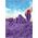 SPIN Kinetic Sand piasek907g  fioletowy 6061465 /3