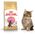 Royal Canin Maine Coon Kitten karma sucha dla kociąt, do 15 miesiąca, rasy maine coon 0.4kg