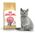 Royal Canin British Shorthair Kitten karma sucha dla kociąt, do 12 miesiąca, rasy brytyjski krótkowłosy 0.4kg