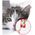Camon Camon Cat Toy Matatabi Kij z piłką jutową