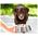 Friskies Dog Junior Kurczak i marchewka w sosie saszetka 85g