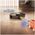 Shark RV2800ZEEU robot vacuum cleaner with mopping function, black