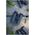 Lornetka Focus Mountain 10x25