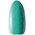 Claresa CLARESA Lakier hybrydowy Precious PS3 5 ml