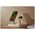 Torras Etui Torras Pstand Series dla iPhone 16 Pro (Przeźroczyste)