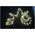 ΧΡΙΣΤΟΥΓΕΝΝΙΑΤΙΚΑ_TO MICRO 720LED 220CMX16 STR ΠΡΑΣΙΝΟ W ΖΕΣΤΑ φωτάκια χριστουγεννιάτικου δέντρου 14149575 4772013184546