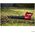 LEAF BLOWER CORDLESS 20V BARE GB1E0331CA