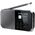 Sharp DR-P520 DAB+/BT/USB C/integrated Battery radio black
