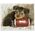 DIAMOND DOTZ Διαμαντένιο Κέντημα Diamond Dotz Diamond Mosaic Footy Puppy with Rugby Ball 49x40cm DQ8017 13914743 4895225917730