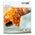 Vacuum bags STANDART, 50 pcs., 30x25 cm