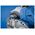Σετ κόφτη HM Sourcing PFERD 1412 Allround, 5 τεμ. 13496275 4007220133576