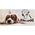 AIO FACTORY Legowisko personalizowane KINGDOG 100x75 niebieskie