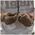 Mechanix Wear Mechanix Wear Mechanix Taktinės pirštinės Precision Pro High Dex Coyote, dydis S
