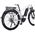 Ηλεκτρικό ποδήλατο Beaster El. Dviratis BEASTER, BS118W 14076806 4772132016360