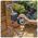 Gardena Laistymo kompiteris Gardena Flex 1890-28, 967927301 13358333 4078500045735