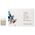 Simply Zen Set, Simply Zen, Detoxifying, Leave In Scalp Treatment Serum, For Detoxing, 12 τμχ, 5 ml Για γυναίκες 13424776 8032274063261