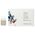 Simply Zen Set, Simply Zen, Detoxifying, Leave In Scalp Treatment Serum, For Detoxing, 12 τμχ, 5 ml Για γυναίκες 13424776 8032274063261