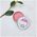Ecooking, Ecooking, Organic Argan Oil, Hydrating, Lip Balm, Pomegranate, 15 ml For Women